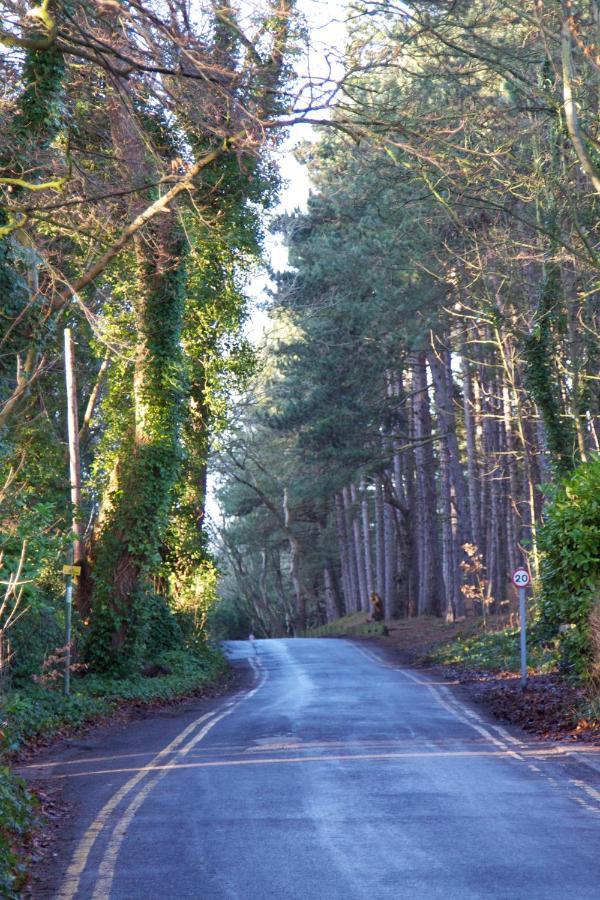 Formby Pinewood Studio Bed & Breakfast Exterior foto